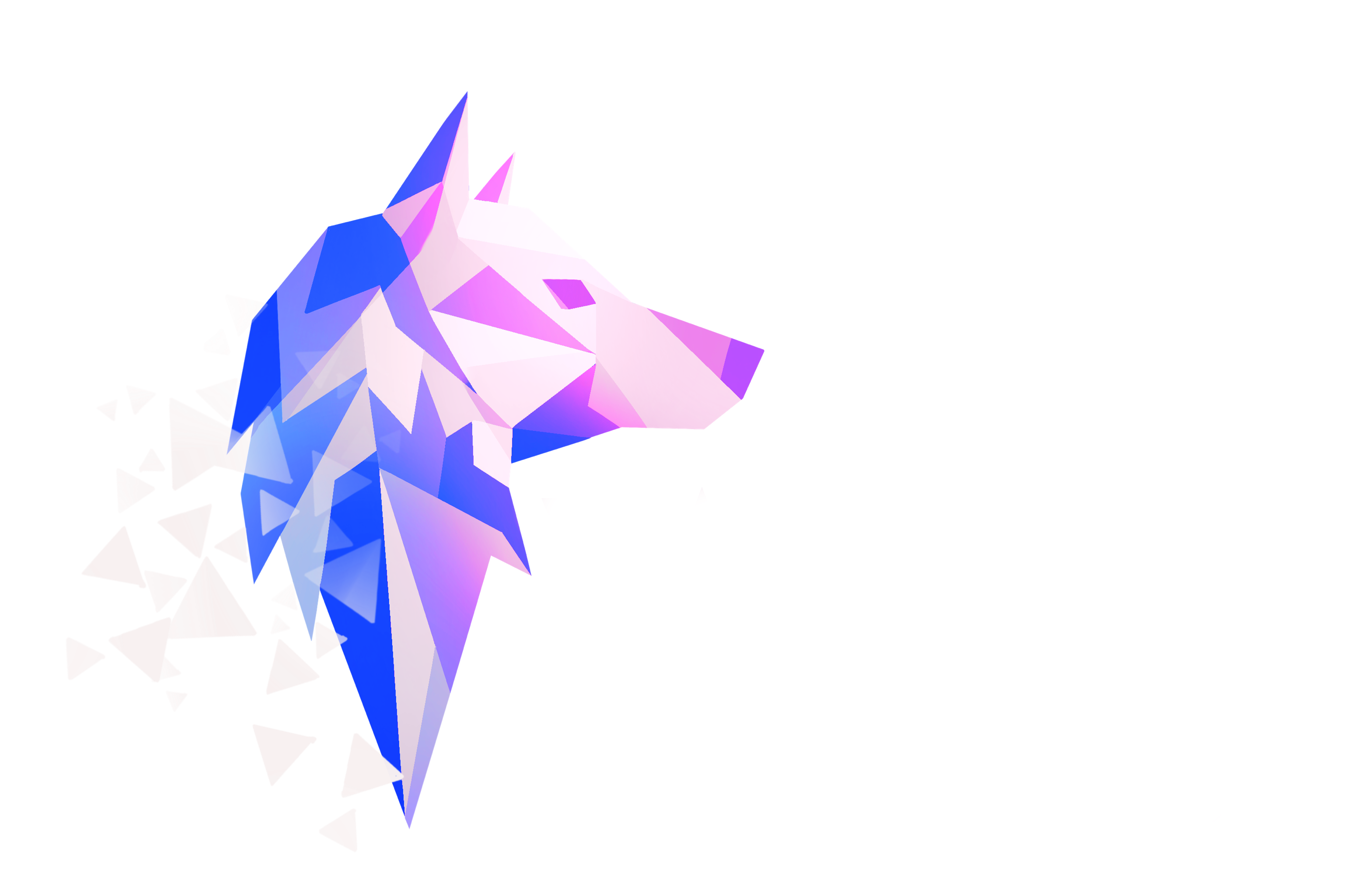 WiWo systems 
